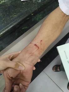 温州网友打架爆料事件视频,网络暴力引发现实冲突 第2张 温州网友打架爆料事件视频,网络暴力引发现实冲突 第2张